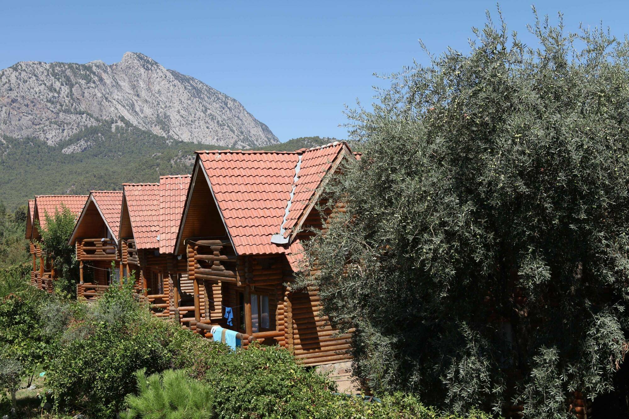Woodline Hotel Göynük Eksteriør bilde