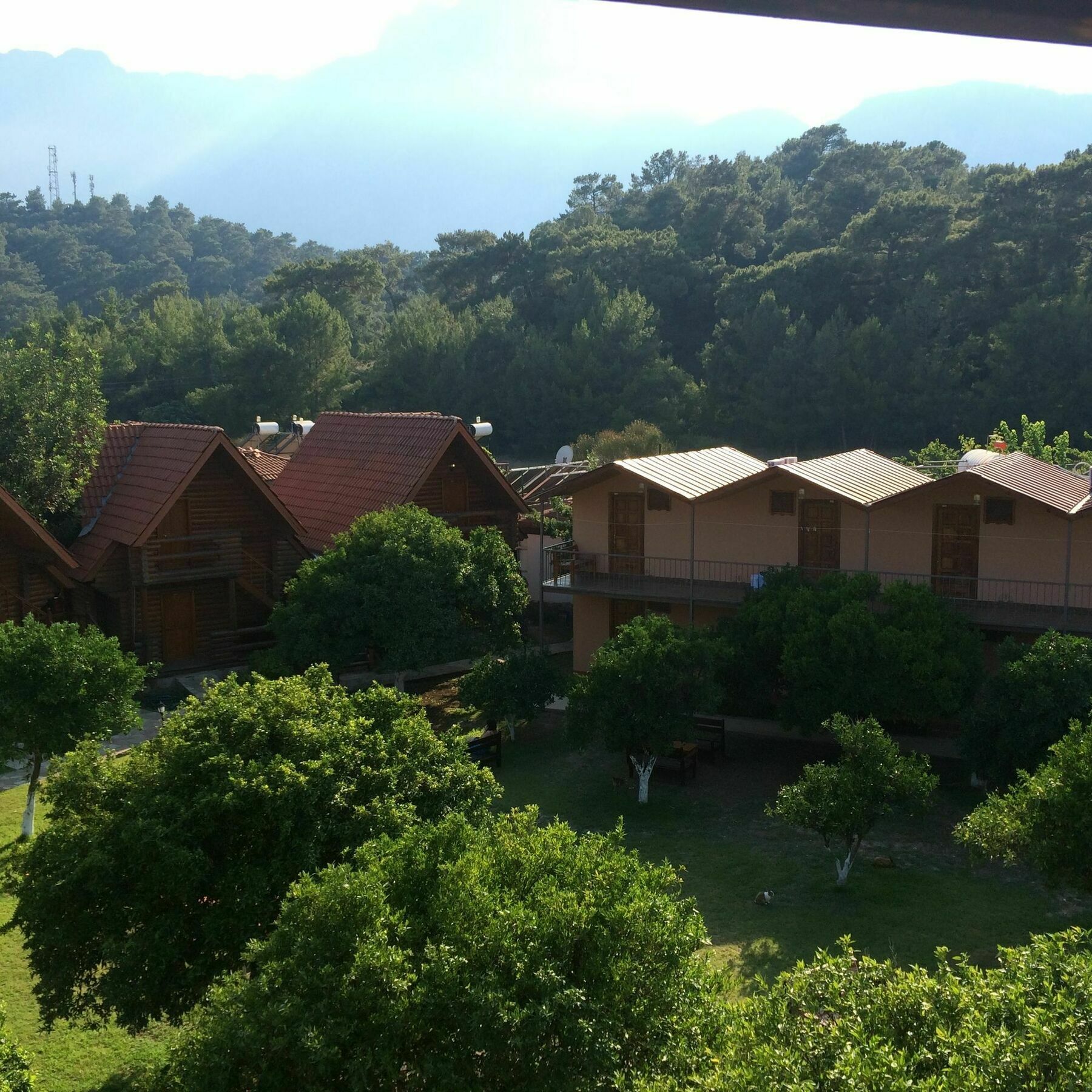 Woodline Hotel Göynük Eksteriør bilde